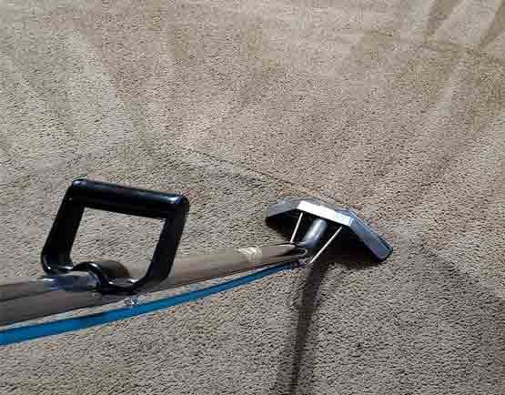 Best Carpet Cleaning Northcote Services